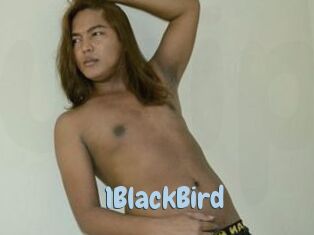 1BlackBird