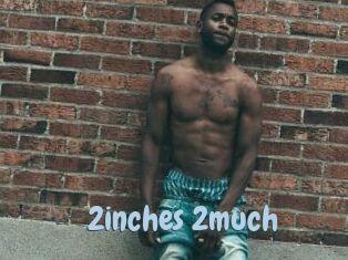 2inches_2much