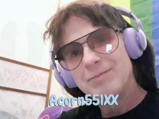 Acorn551XX