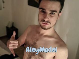 AleyModel