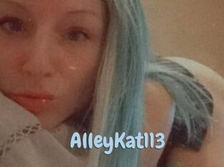 AlleyKat113