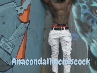 Anaconda11inchescock