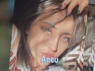 Aneu