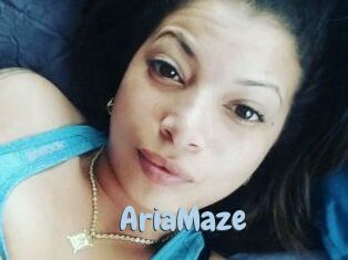 Aria_Maze