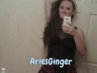 AriesGinger