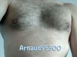 Arnaud95300