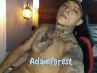 Adamforest
