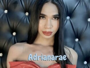 Adrianarae