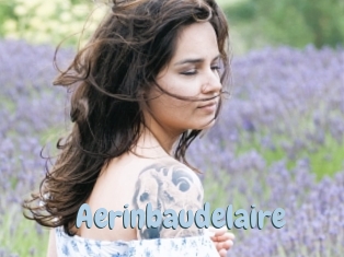 Aerinbaudelaire