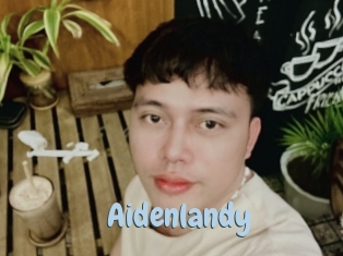 Aidenlandy