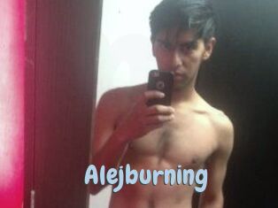 Alejburning