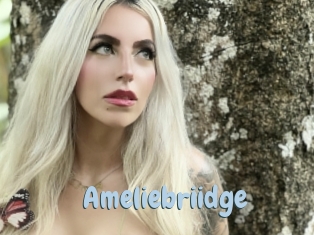 Ameliebriidge