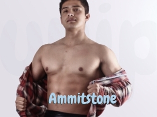 Ammitstone