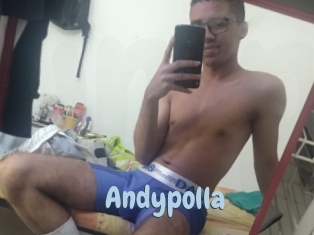 Andypolla