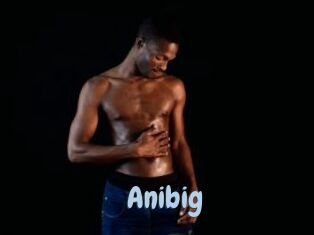 Anibig