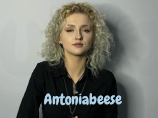 antoniabeese Uniform Porn XXX