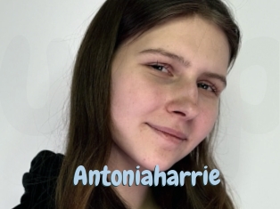 Antoniaharrie