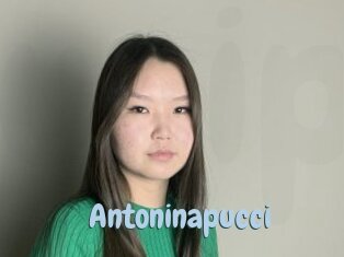 Antoninapucci