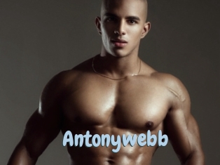 Antonywebb
