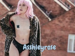 Asshleyrose