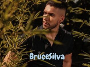 BruceSilva