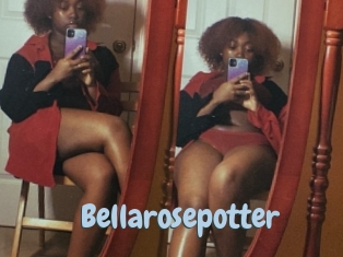 Bellarosepotter