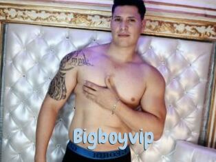 Bigboyvip