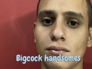 Bigcock_handsomes