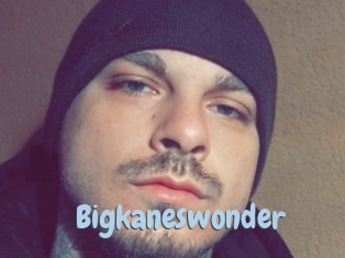 Bigkaneswonder
