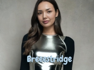 Breeestridge