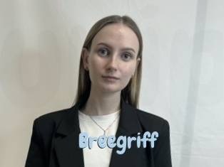 Breegriff