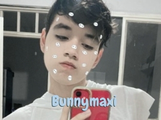 Bunnymaxi