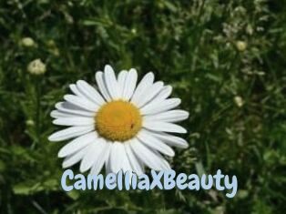 Camellia_XBeauty