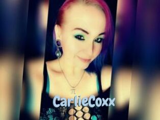 CarlieCoxx