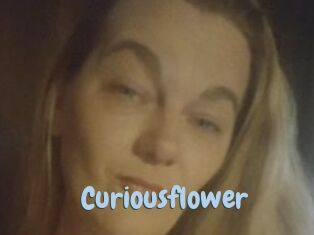 Curiousflower