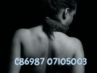 C86987-07105003