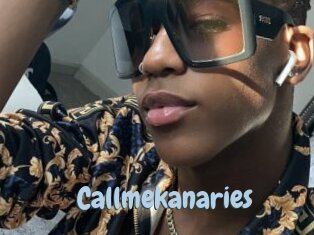 callmekanaries Uniform Porn XXX