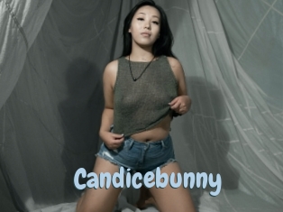 Candicebunny
