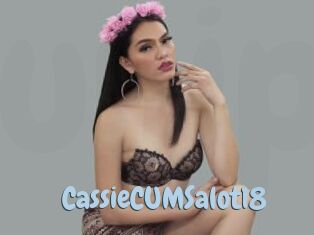 CassieCUMSalot18
