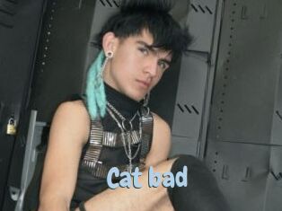 Cat_bad