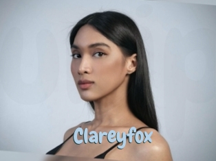 clareyfox Uniform Porn XXX