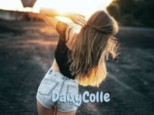 DaisyColle