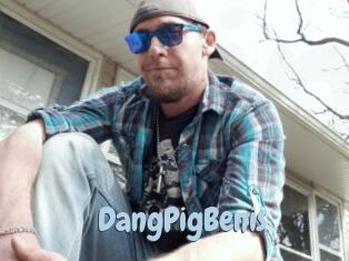 DangPigBenis