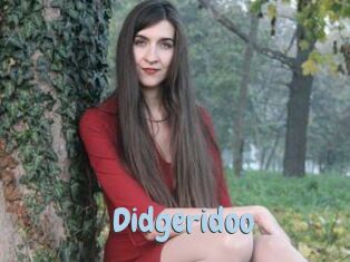 Didgeridoo