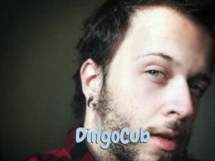 DingoCub