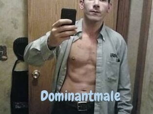Dominantmale