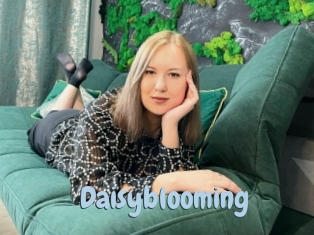 Daisyblooming