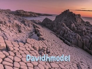 Davidhmodel