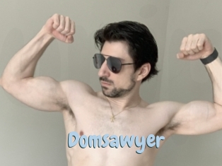 Domsawyer