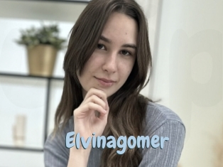Elvinagomer